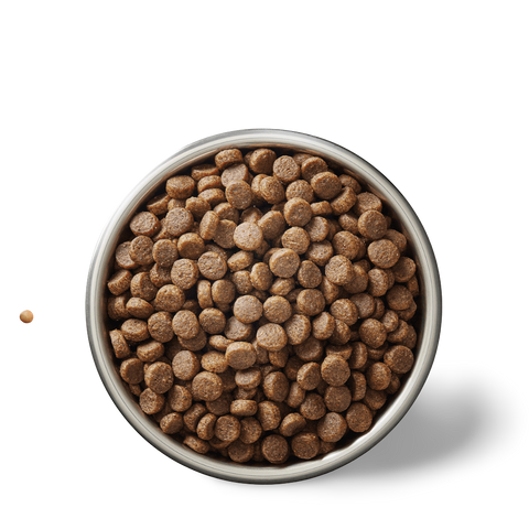 Grain Free Dry Cat Food Adult Chicken