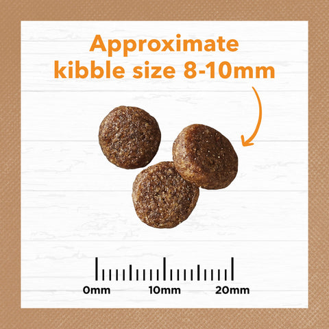 Grain Free Dry Cat Food Adult Chicken