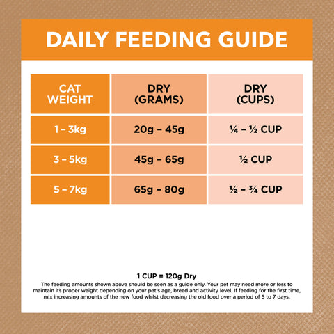 Grain Free Dry Cat Food Adult Chicken