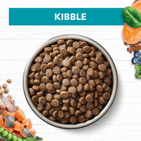 Grain Free Dry Cat Food Adult Ocean Fish And Salmon