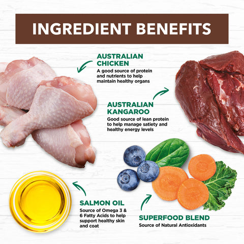 Grain Free Dry Cat Food Chicken And Kangaroo