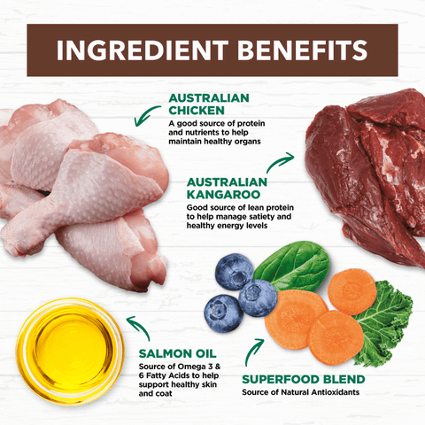 Grain Free Dry Cat Food Chicken And Kangaroo