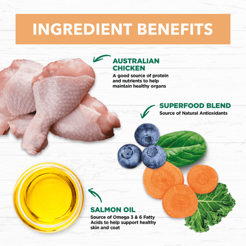 Grain Free Dry Cat Food Kitten Chicken