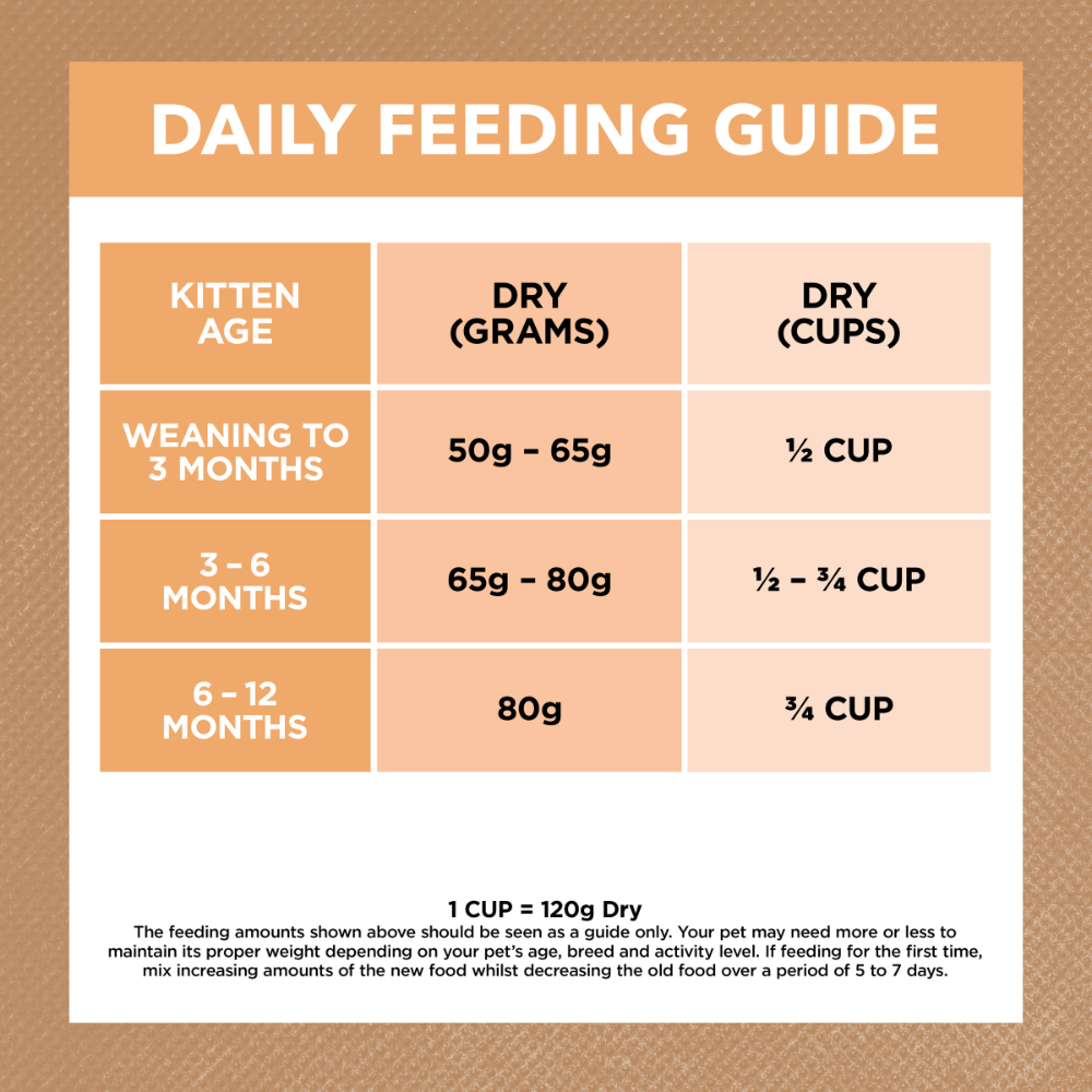Grain Free Dry Cat Food Kitten Chicken