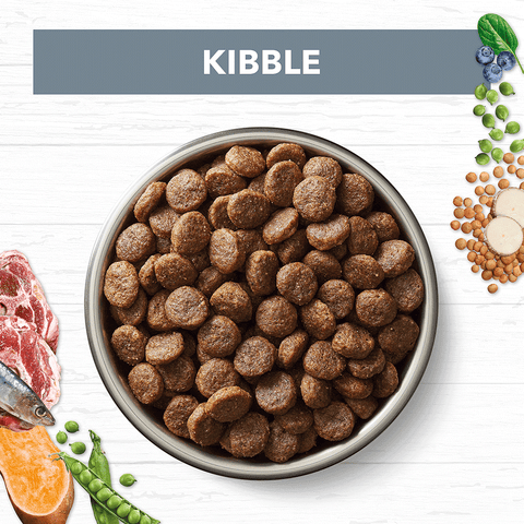 Lamb & Sardine Grain Free Adult Dry Dog Food