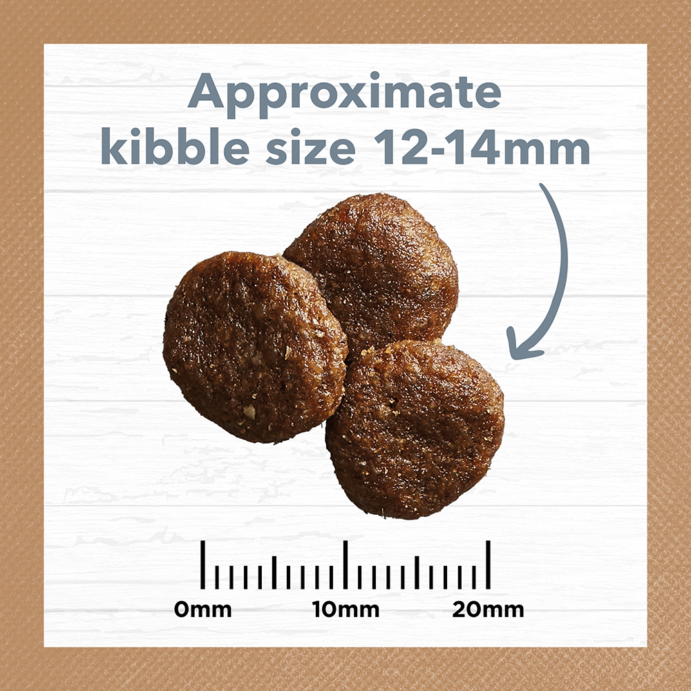 Lamb & Sardine Grain Free Adult Dry Dog Food