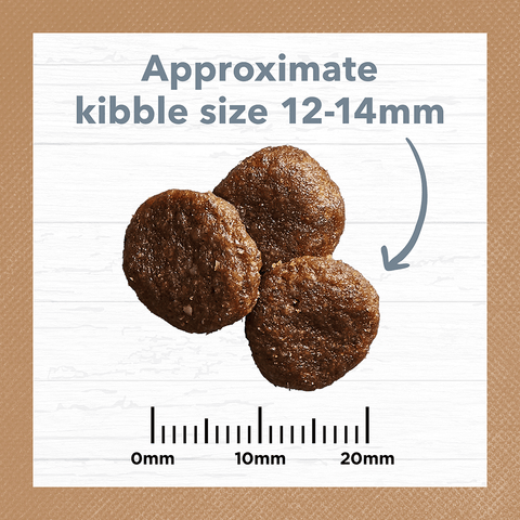 Lamb & Sardine Grain Free Adult Dry Dog Food