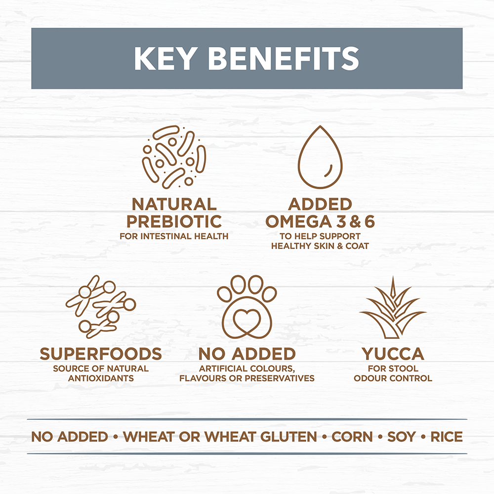 Lamb & Sardine Grain Free Adult Dry Dog Food