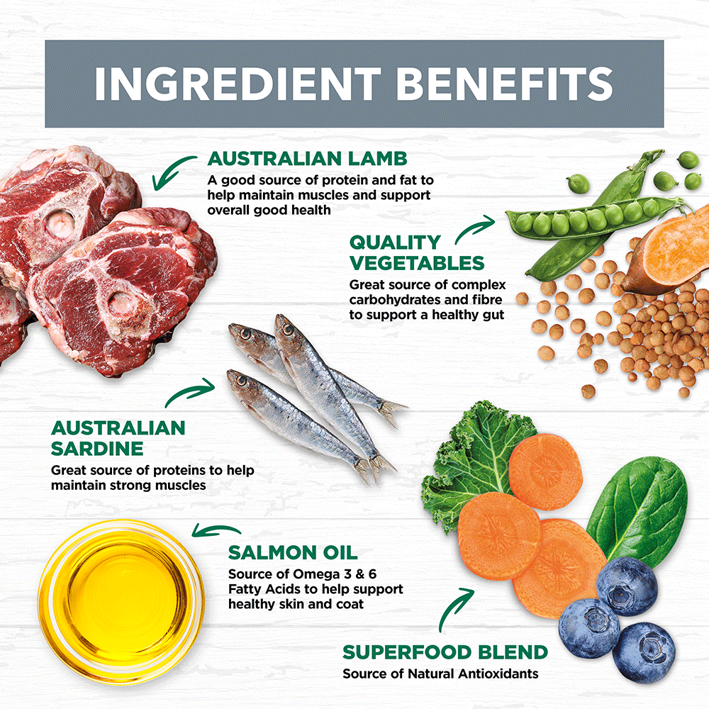 Lamb & Sardine Grain Free Adult Dry Dog Food