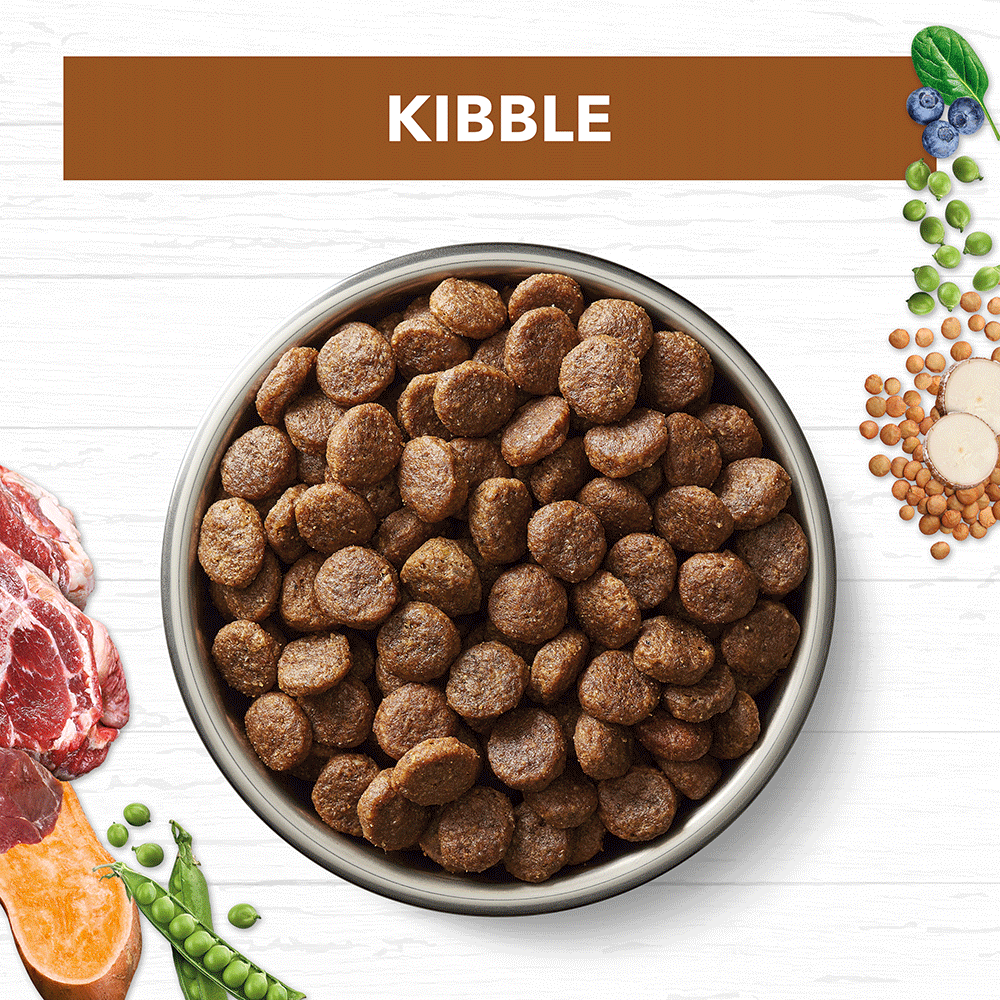 Lamb & Kangaroo Grain Free Adult Dry Dog Food