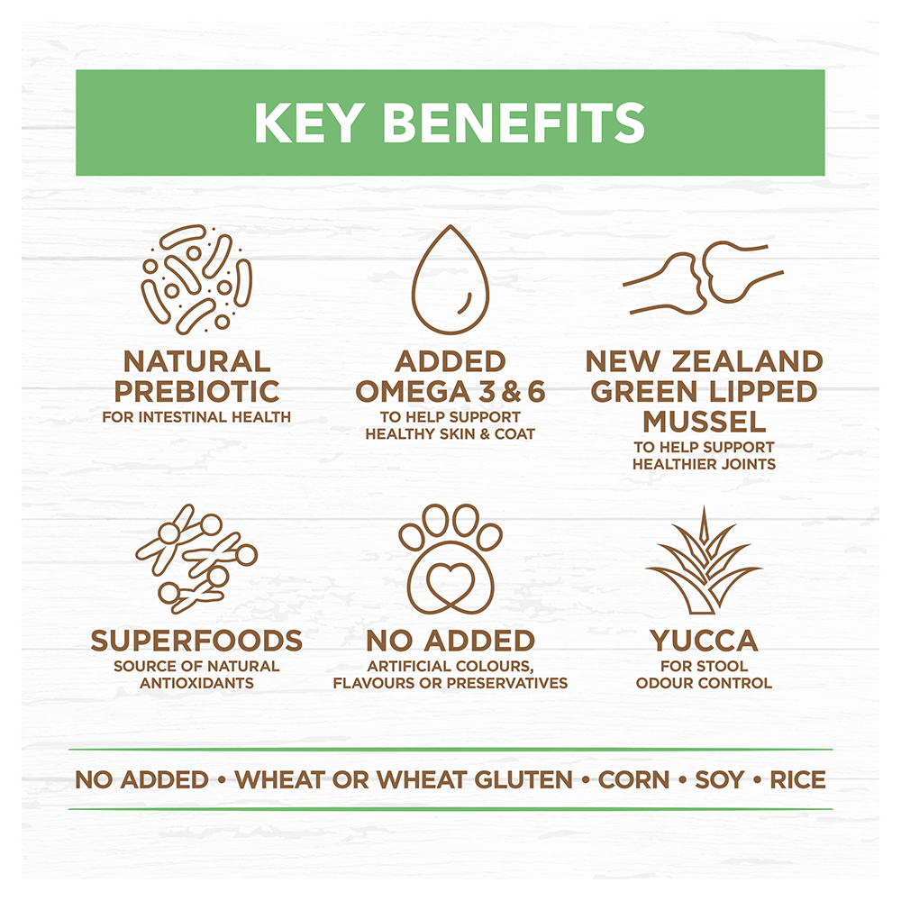 Lamb Large Breed Grain Free Puppy Dry Dog Food