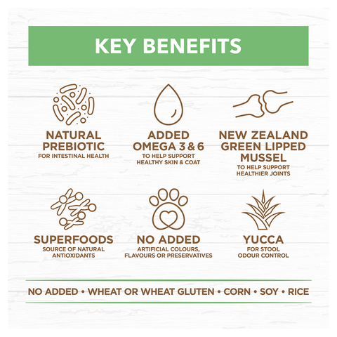 Lamb Large Breed Grain Free Puppy Dry Dog Food