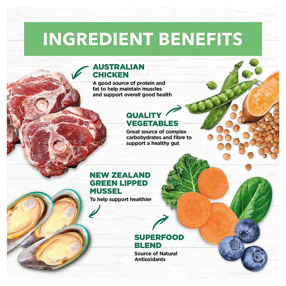 Lamb Large Breed Grain Free Puppy Dry Dog Food