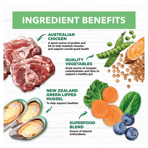 Lamb Large Breed Grain Free Puppy Dry Dog Food