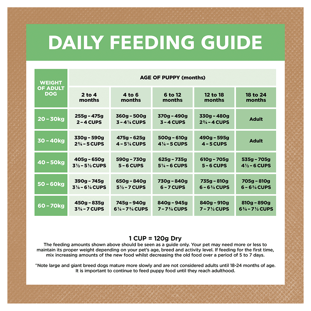 Lamb Large Breed Grain Free Puppy Dry Dog Food