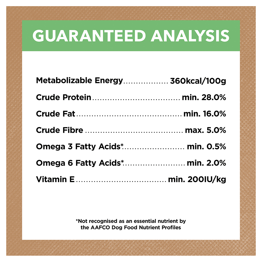 Lamb Large Breed Grain Free Puppy Dry Dog Food