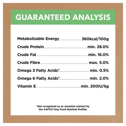 Lamb Large Breed Grain Free Puppy Dry Dog Food