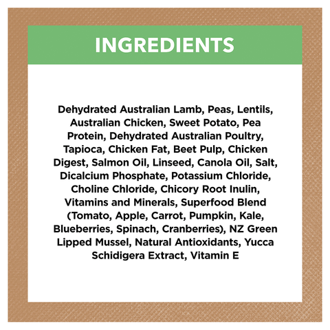 Lamb Large Breed Grain Free Puppy Dry Dog Food