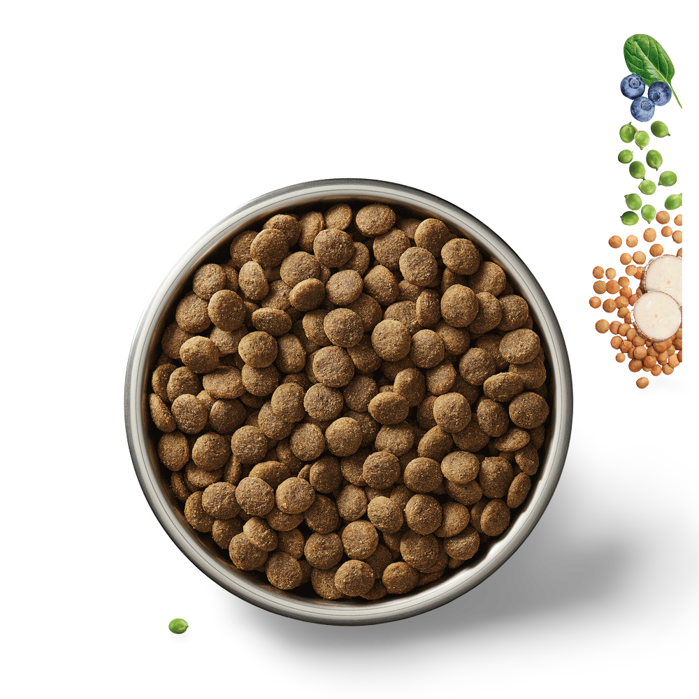 Chicken Grain Free Puppy Dry Dog Food