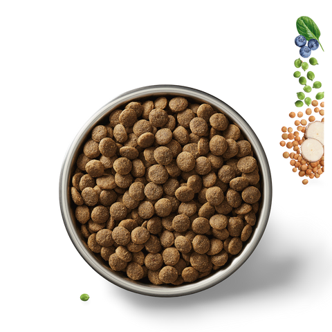 Chicken Grain Free Puppy Dry Dog Food