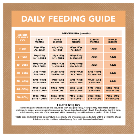 Chicken Grain Free Puppy Dry Dog Food