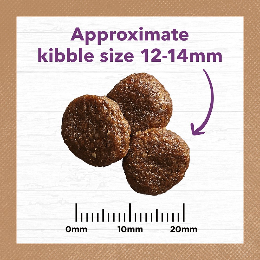 Turkey Grain Free Mature Dry Dog Food