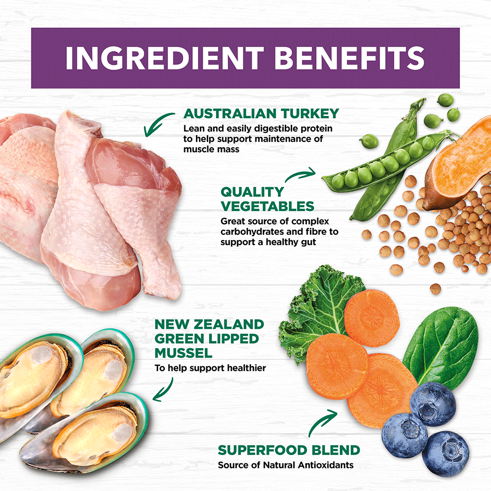 Turkey Grain Free Mature Dry Dog Food