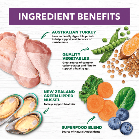 Turkey Grain Free Mature Dry Dog Food