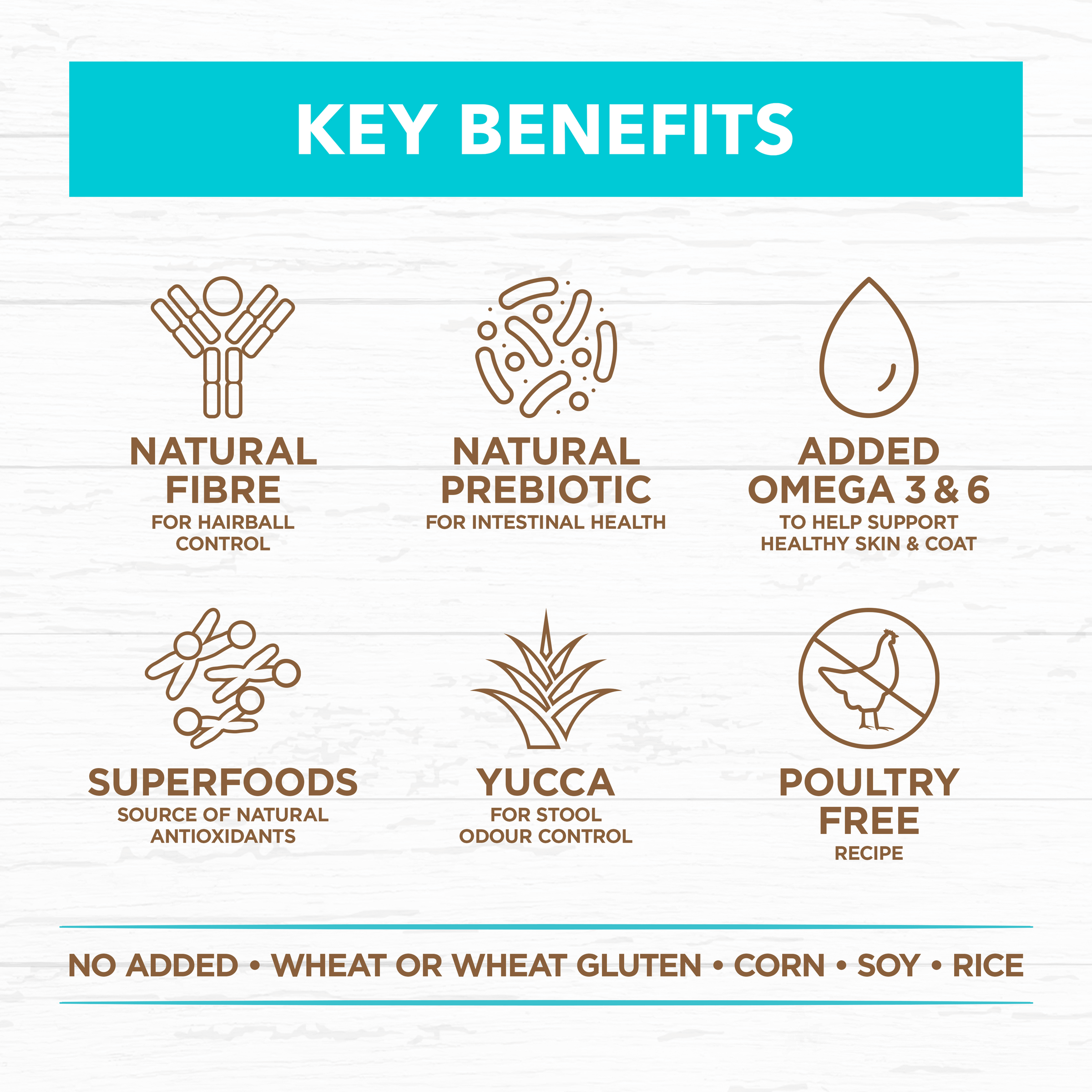 Grain Free Kitten Ocean Fish And Salmon Dry Cat Food