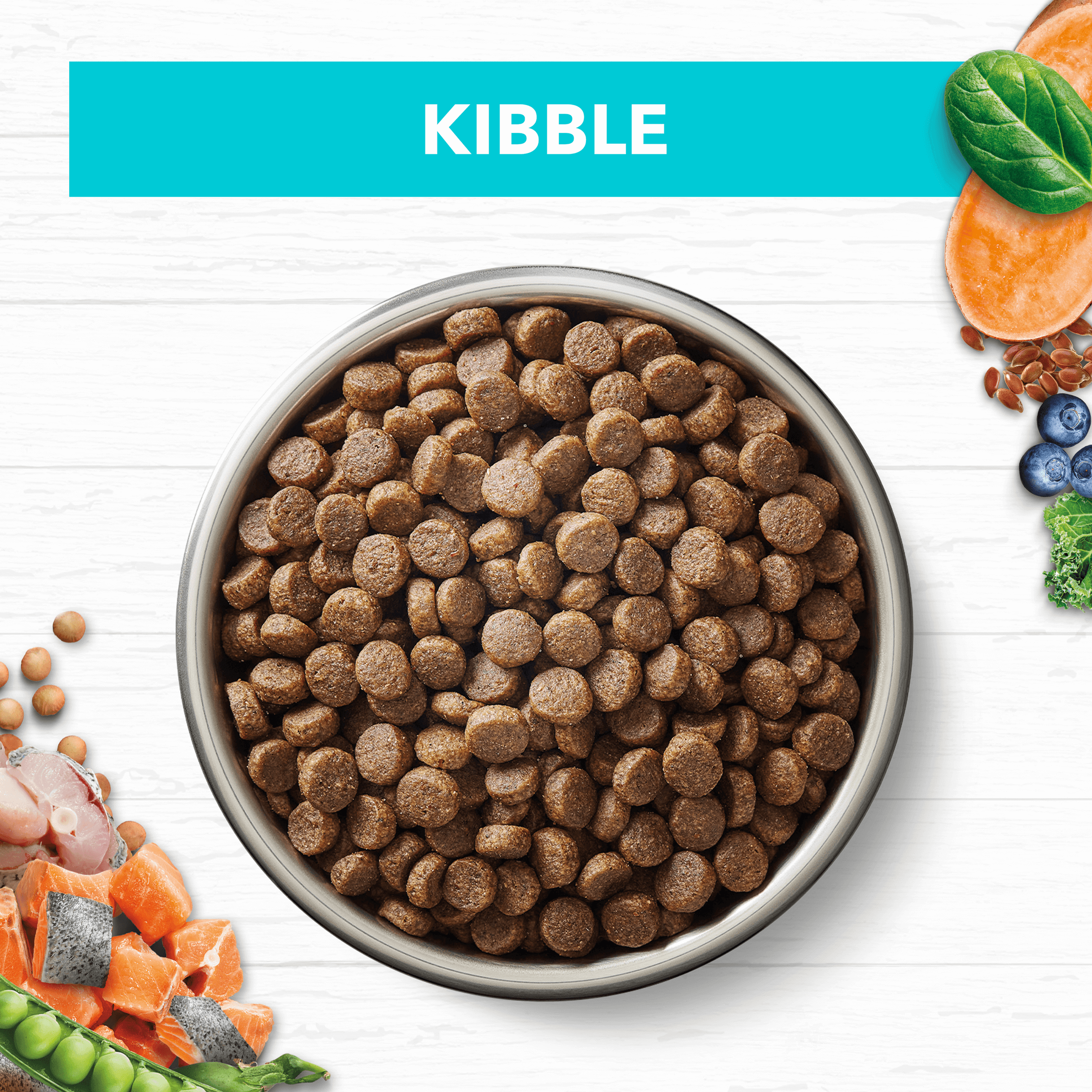 Grain Free Kitten Ocean Fish And Salmon Dry Cat Food