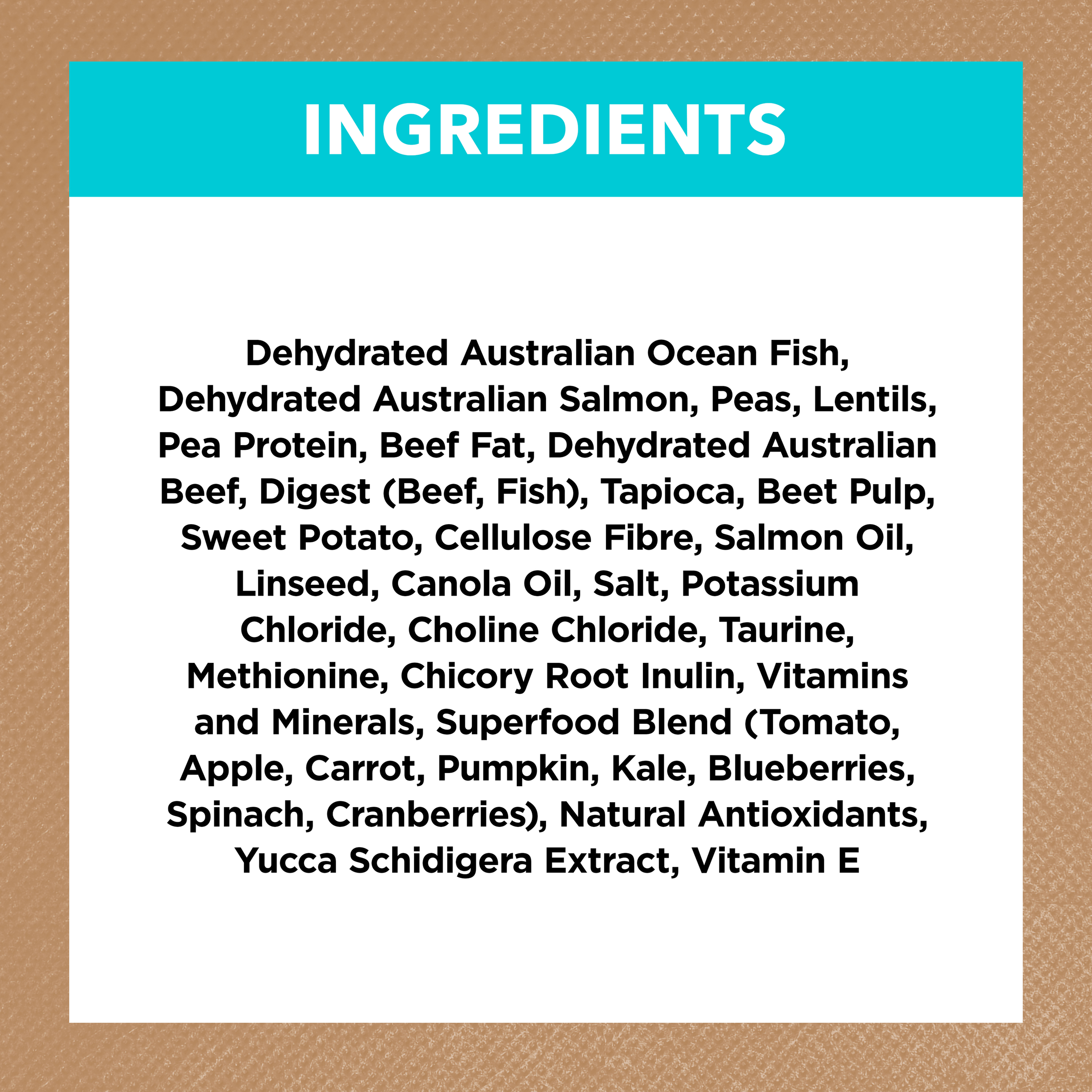 Grain Free Kitten Ocean Fish And Salmon Dry Cat Food