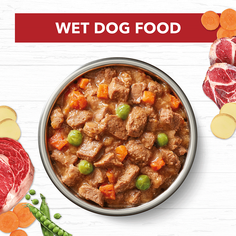 Beef Stew Grain Free Adult Wet Dog Food