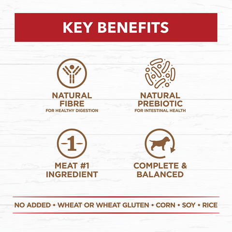 Beef Stew Grain Free Adult Wet Dog Food