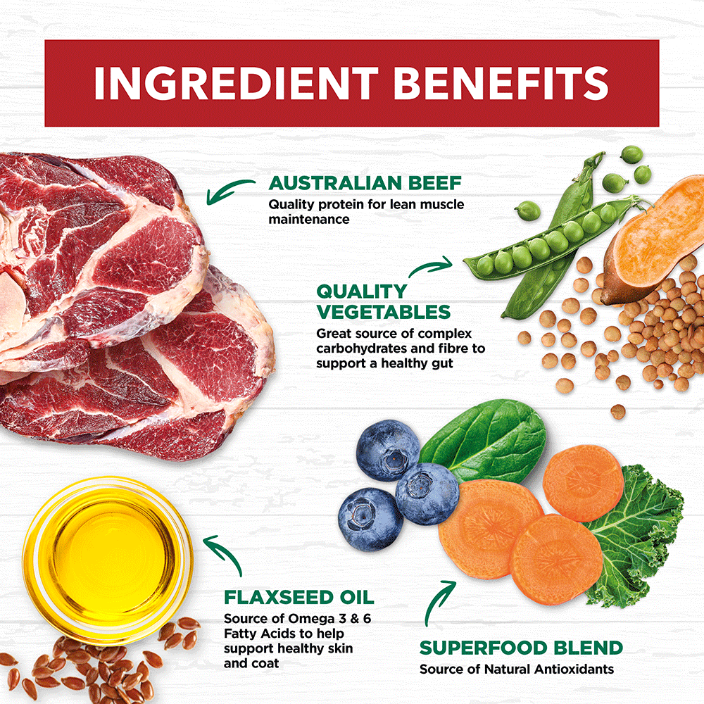 Beef Stew Grain Free Adult Wet Dog Food