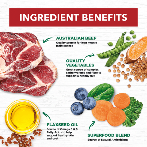 Beef Stew Grain Free Adult Wet Dog Food