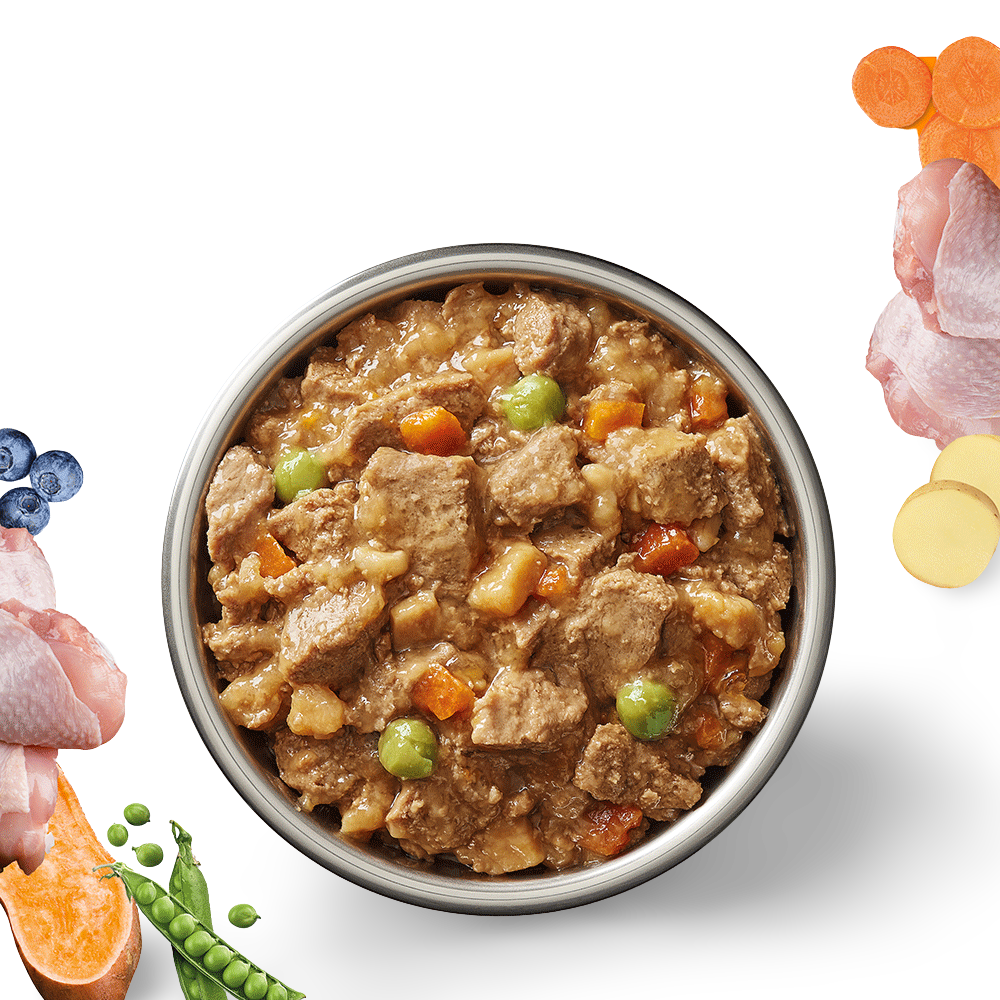 Chicken Stew Adult Wet Dog Food