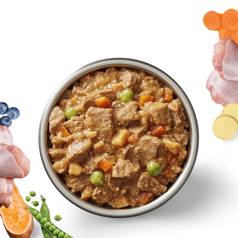 Chicken Stew Adult Wet Dog Food