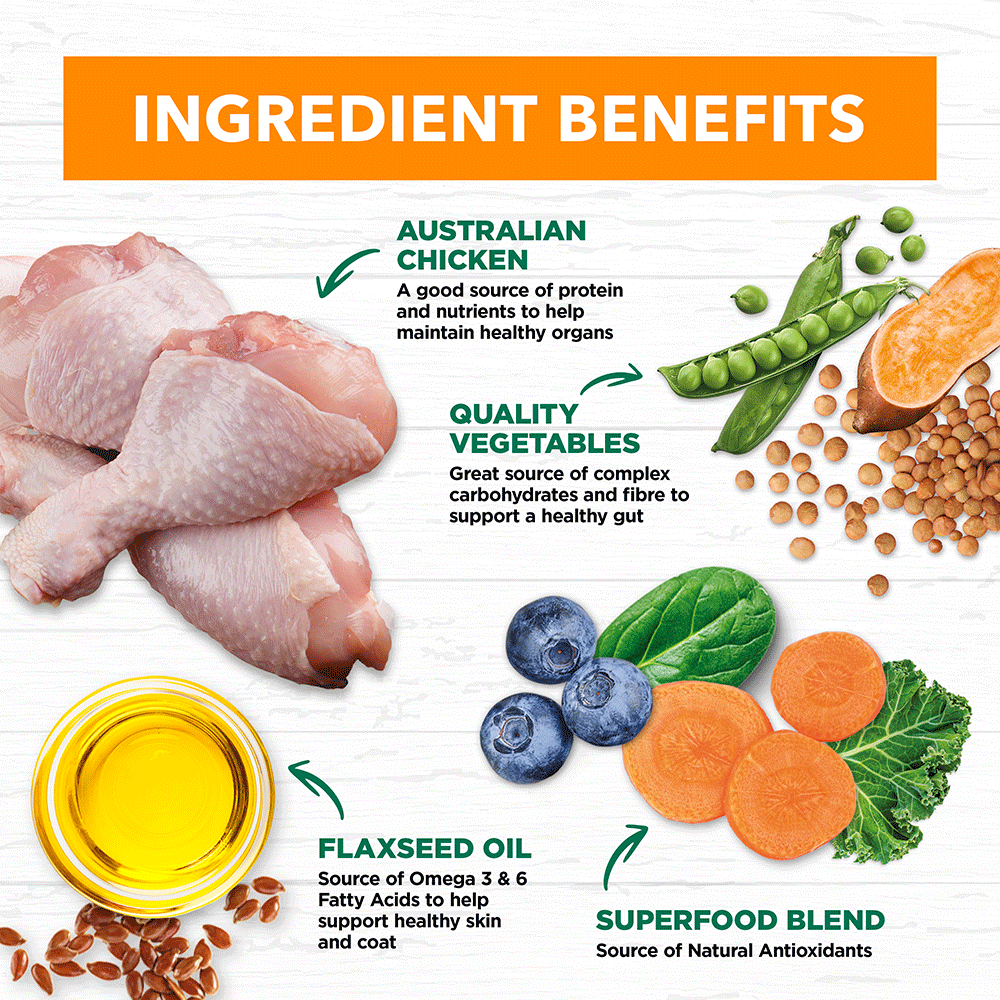 Chicken Stew Adult Wet Dog Food