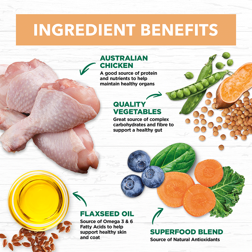 Chicken Grain Free Puppy Wet Dog Food