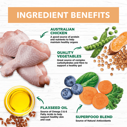 Chicken Grain Free Puppy Wet Dog Food