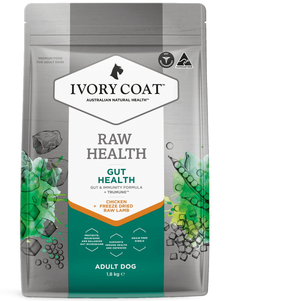 Raw Health Gut Health Chicken & Freeze Dried Lamb Adult Dry Dog Food