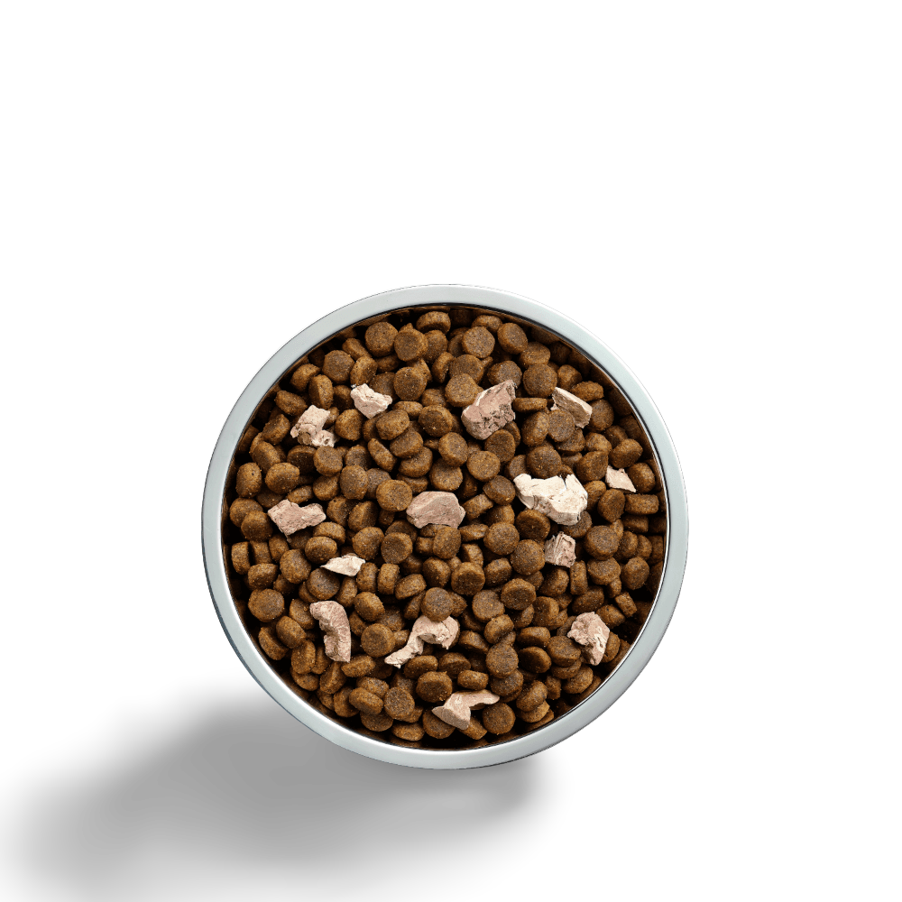 Raw Health Gut Health Chicken & Freeze Dried Lamb Adult Dry Dog Food