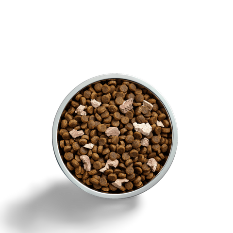 Raw Health Gut Health Chicken & Freeze Dried Lamb Adult Dry Dog Food