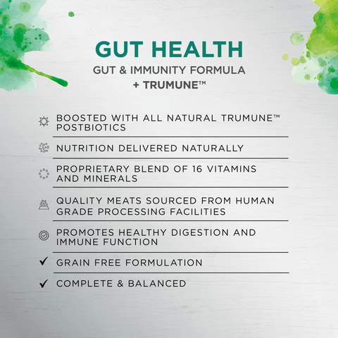 Raw Health Gut Health Chicken & Freeze Dried Lamb Adult Dry Dog Food