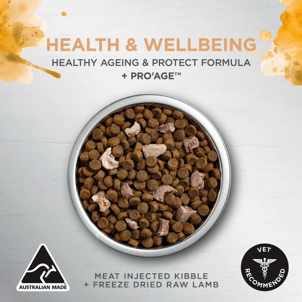 Raw Health Adult Health And Vitality Dry Cat Food