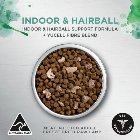 Raw Health Adult Indoor And Hairball Dry Cat Food