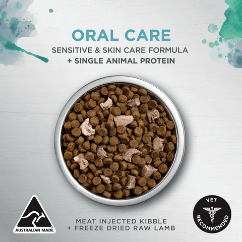 Raw Health Adult Oral Care Dry Cat Food