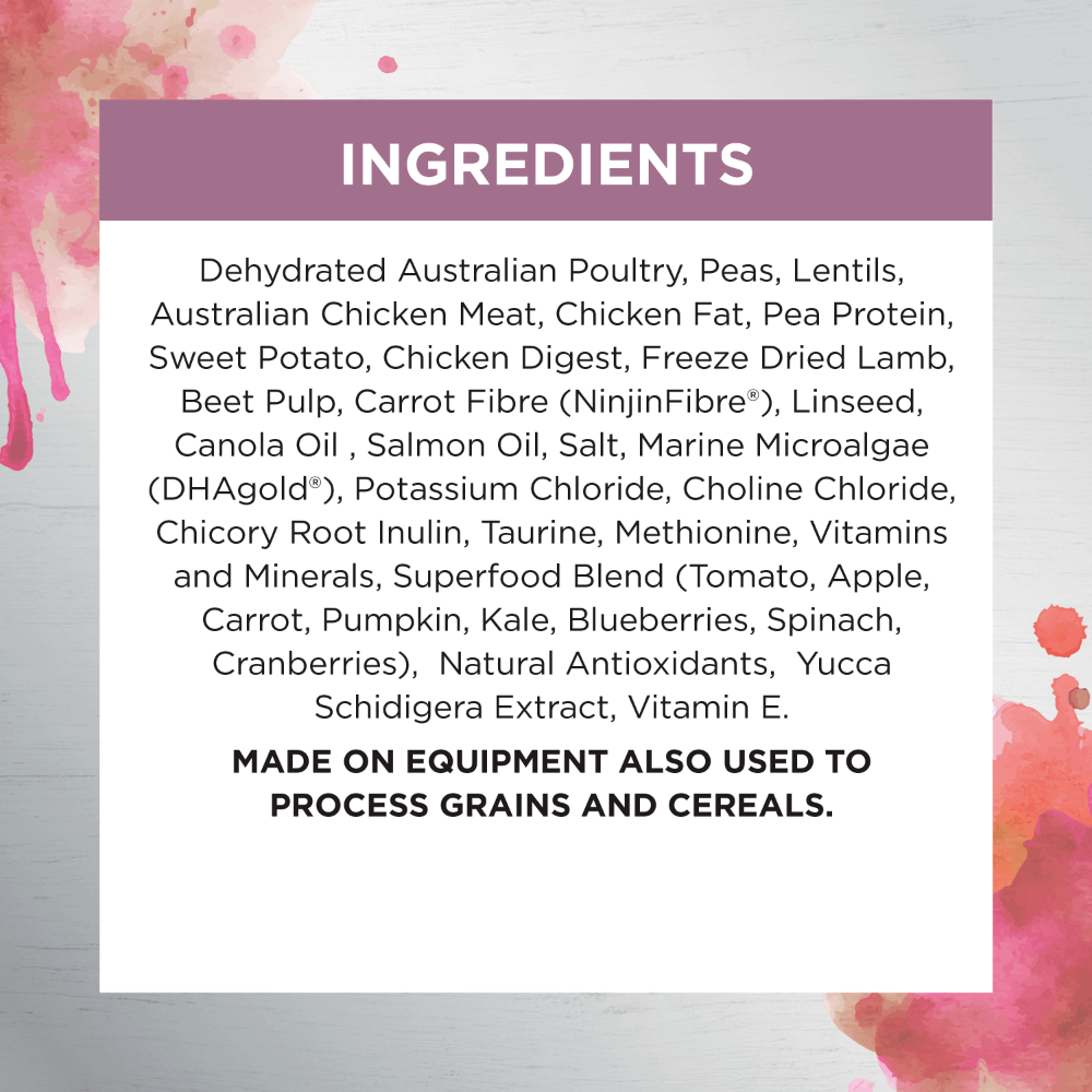 Raw Health Kitten Immunity Dry Food