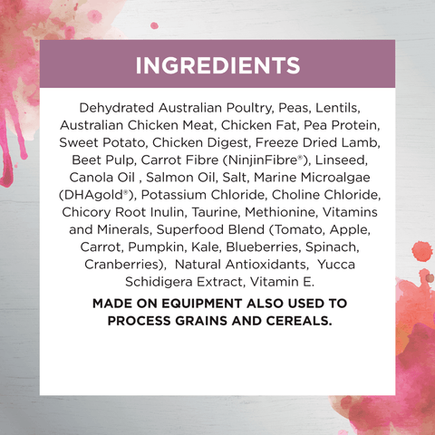 Raw Health Kitten Immunity Dry Food