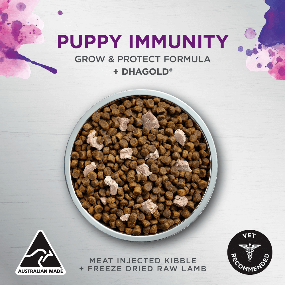 Raw Health Puppy Immunity Dry Dog Food